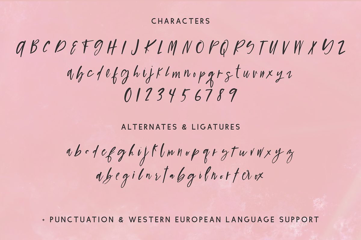 Figmented Script, a Script Font by Beck McCormick (Photo 10 of 10)
