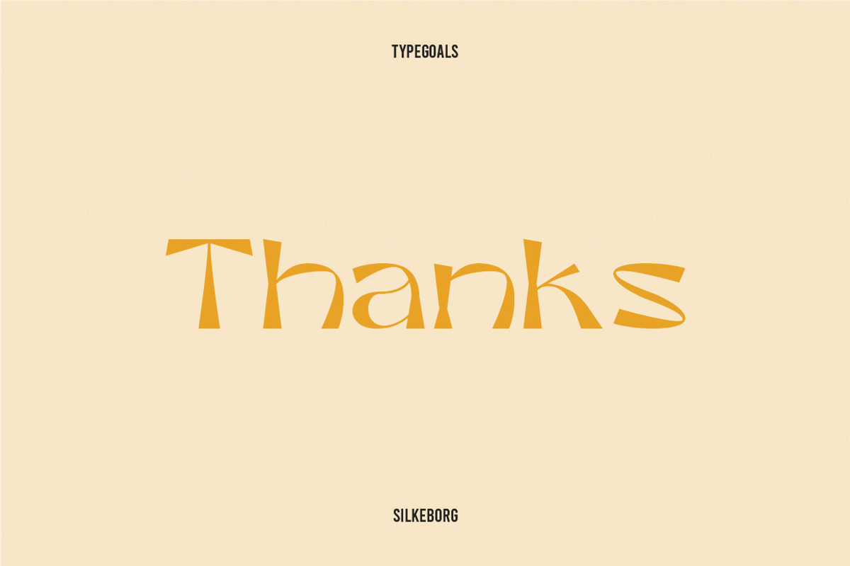 Silkeborg Display Font, a Sans Serif Font by Typegoals Studio (Photo 9 of 9)