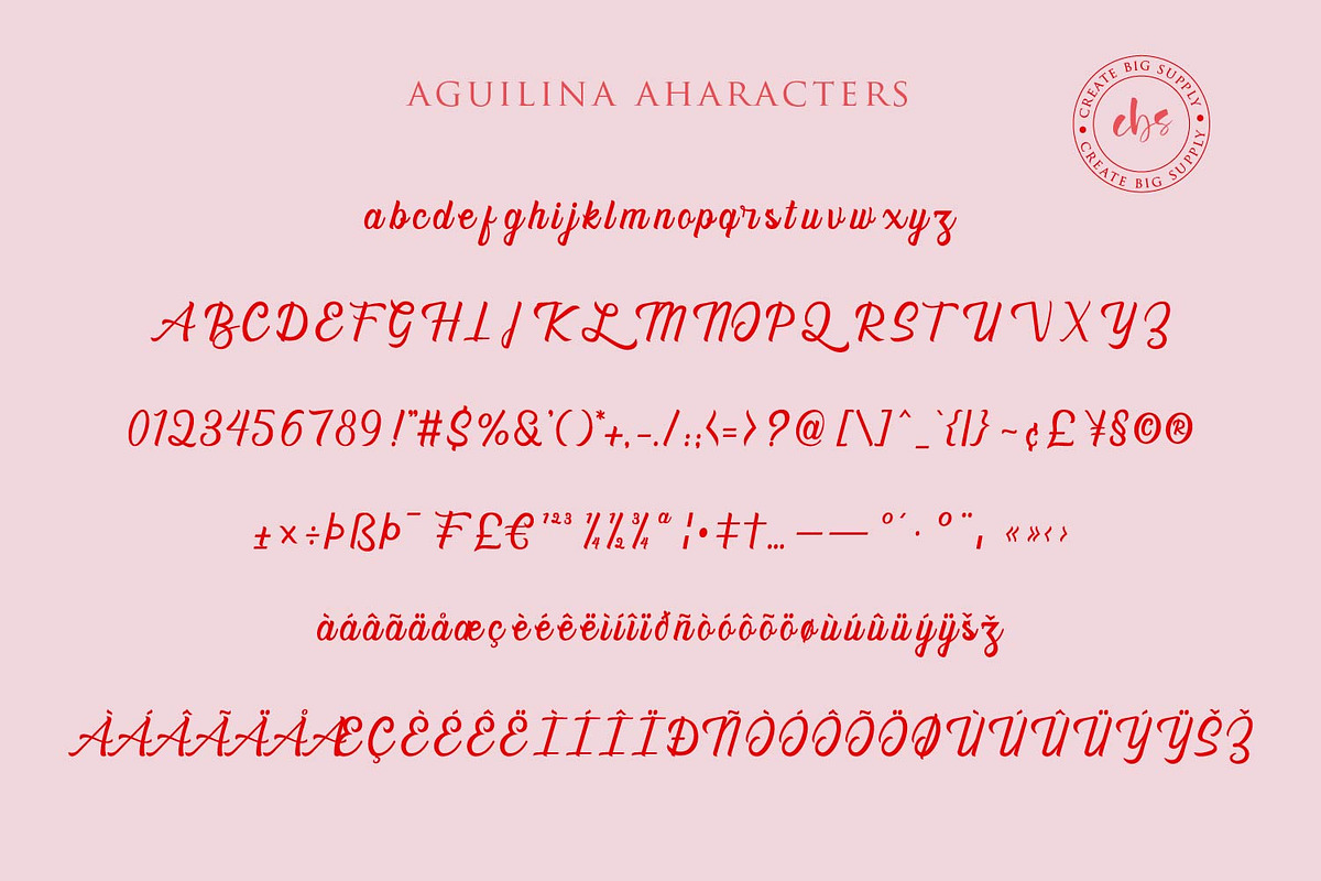 Aguilina, a Script Font by sabrcreative (Photo 9 of 9)