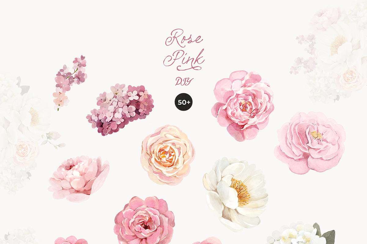 Rose Pink Watercolor Floral, a Decorative Illustration by Lana Elanor (Photo 12 of 14)