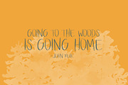Walk in the Woods Open Type SVG, a Handwritten Font by Jodi Van der Kruik (Thumbnail 4 of 5)
