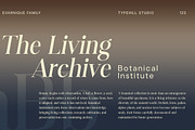 Evarnique, a Serif Font by Typehill (Thumbnail 9 of 14)