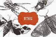 Bag of Bones | Vintage Clipart, a Seasonal Illustration by GVGraphics (Thumbnail 10 of 13)