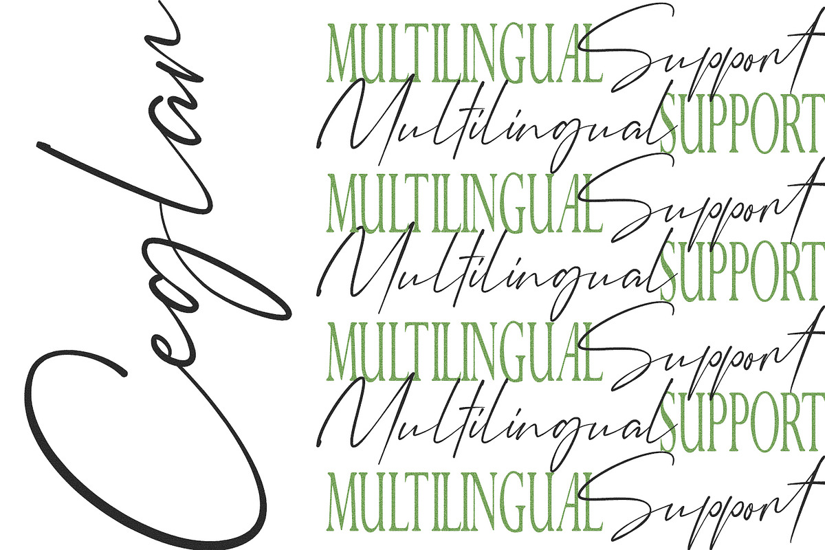 Ceglar, a Serif Font by Black Junst (Photo 29 of 35)