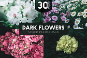 Dark Flowers - Stock Photos, a Nature Photo by outlinez (Thumbnail 1 of 8)