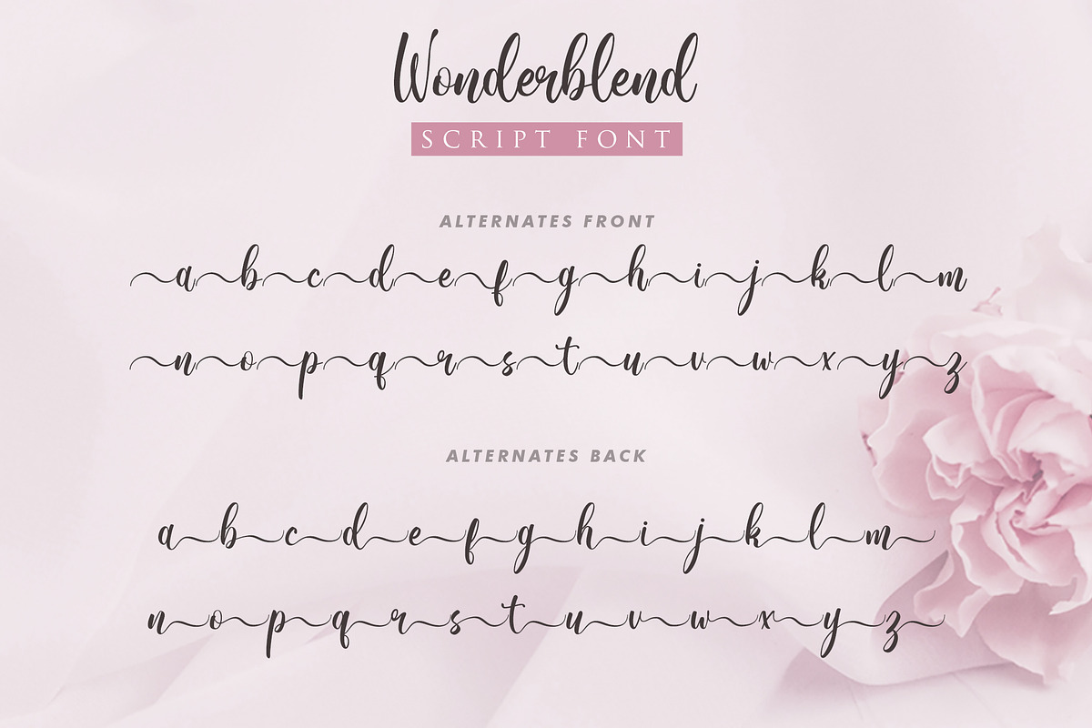 Wonderblend preview 6