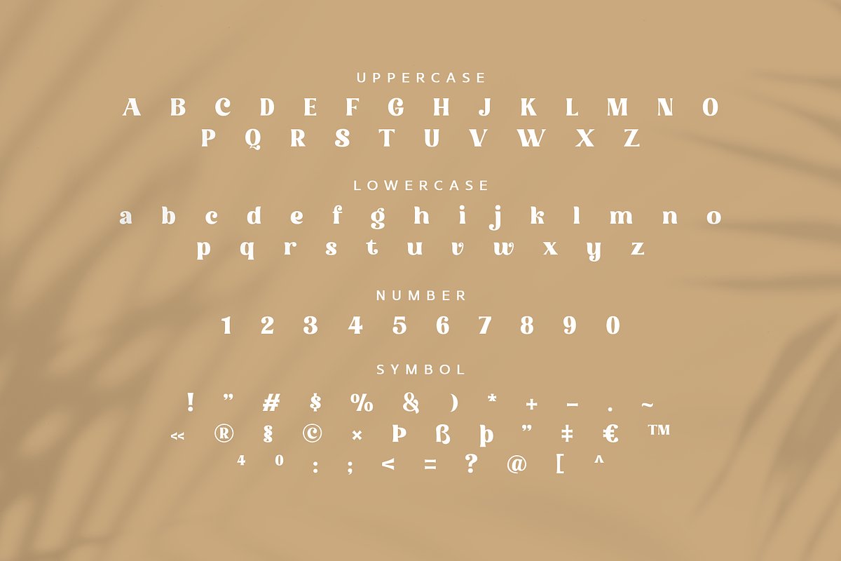 Molendra - Display Serif Typeface, a Serif Font by Artchitype Studio (Photo 15 of 17)