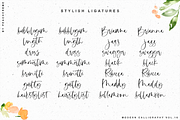 Bonjour // Modern Calligraphy, a Handwritten Font by PeachCreme (Thumbnail 17 of 27)