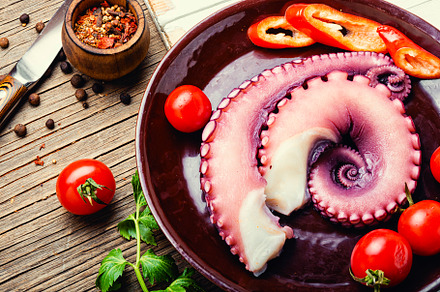 Raw octopus tentacle, a Food & Drink Photo by MLunov MLunov