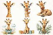 Baby Giraffe Watercolor Clipart, an Illustration by Pixels.Craft (Thumbnail 2 of 6)