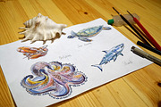 Watercolor sea animals, an Animal Illustration by miminoshka (Thumbnail 4 of 9)