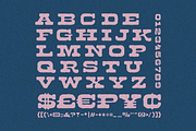 MOTTEAC DISPLAY TYPEFACE, a Serif Font by Naturaworks Creative (Thumbnail 2 of 4)