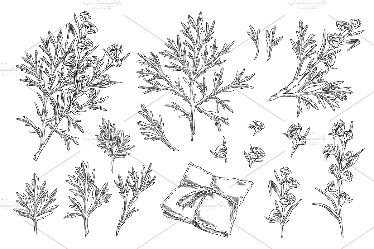 Black and white illustration of a, an Object Illustration by Sabelskaya