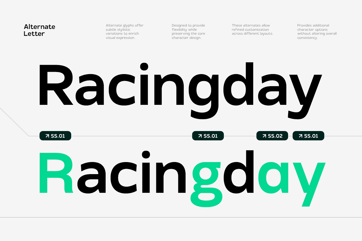 TRT Monexa Modern Sans Typeface, a Sans Serif Font by truetype (Photo 14 of 15)