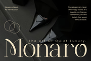 Ondine Modern Luxury Serif Font, a Serif Font by Rasio Studio (Thumbnail 4 of 9)