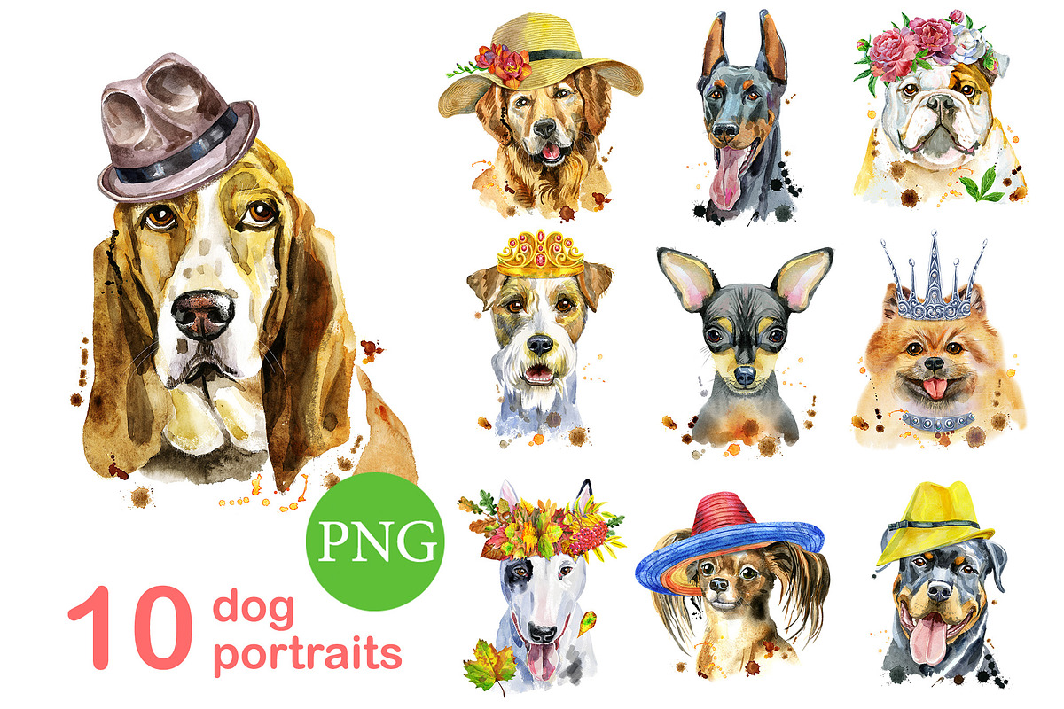 10 watercolor dog portraits. Set 15, an Animal Illustration by Watercolor fantasy (Photo 1 of 5)