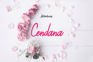 Cendana Brush