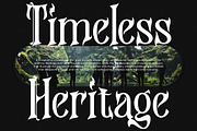 Hazelgen Modern Blackletter Serif, a Blackletter Font by timelesstype.co (Thumbnail 17 of 20)