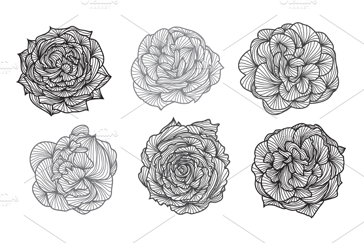 Roses and Tulips Set, an Illustration by Sunset&Sea Design (Photo 2 of 5)
