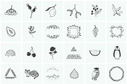 150 Hand Drawn Elements -Nature, an Animal Illustration by Michael Rayback Design (Thumbnail 5 of 22)