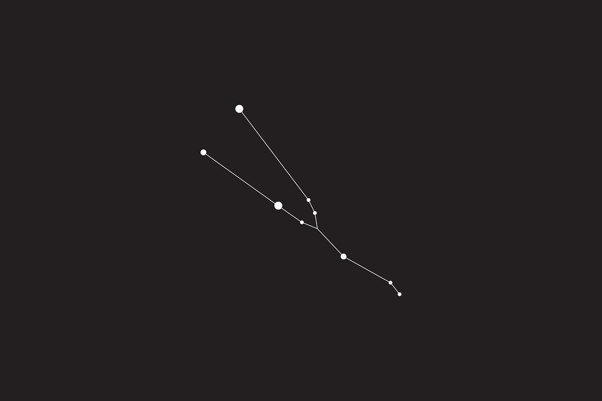 12 Vector Constellation Signs, an Illustration by Kessens (Photo 11 of 12)