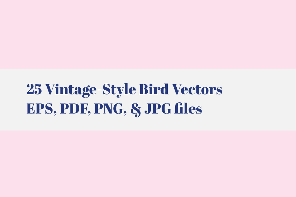 VINTAGE BIRDS | 25 Vectors, an Animal Illustration by Britt & Kit (Photo 2 of 3)