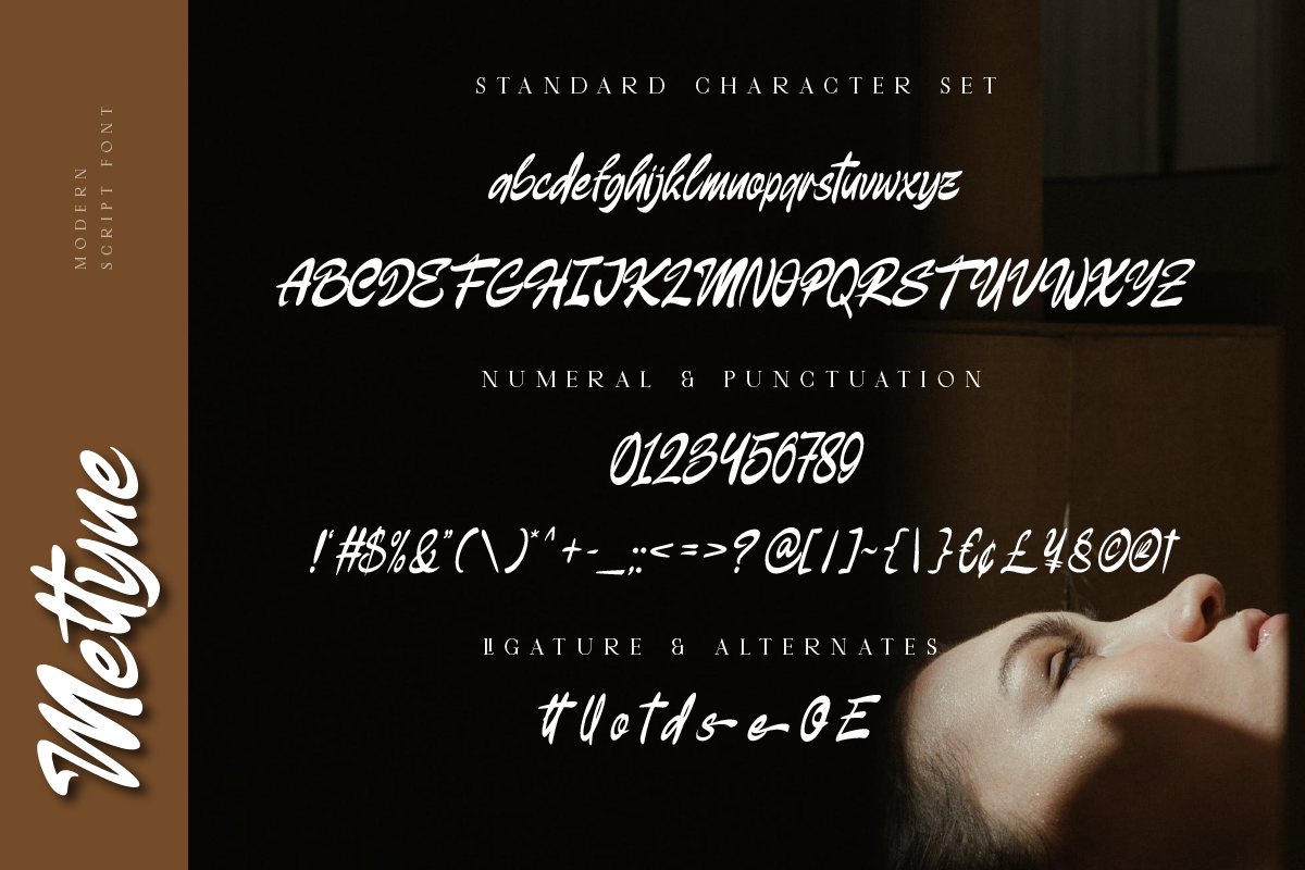 Meltyne Modern Script Font, a Script Font by Ronny Studio (Photo 8 of 9)