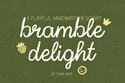 Bramble Delight Handwritten Script, a Handwritten Font by Dina Mae (Thumbnail 1 of 12)
