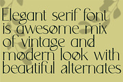 Avocado - Serif Font, a Serif Font by Anna Zakharchenko (Thumbnail 2 of 12)