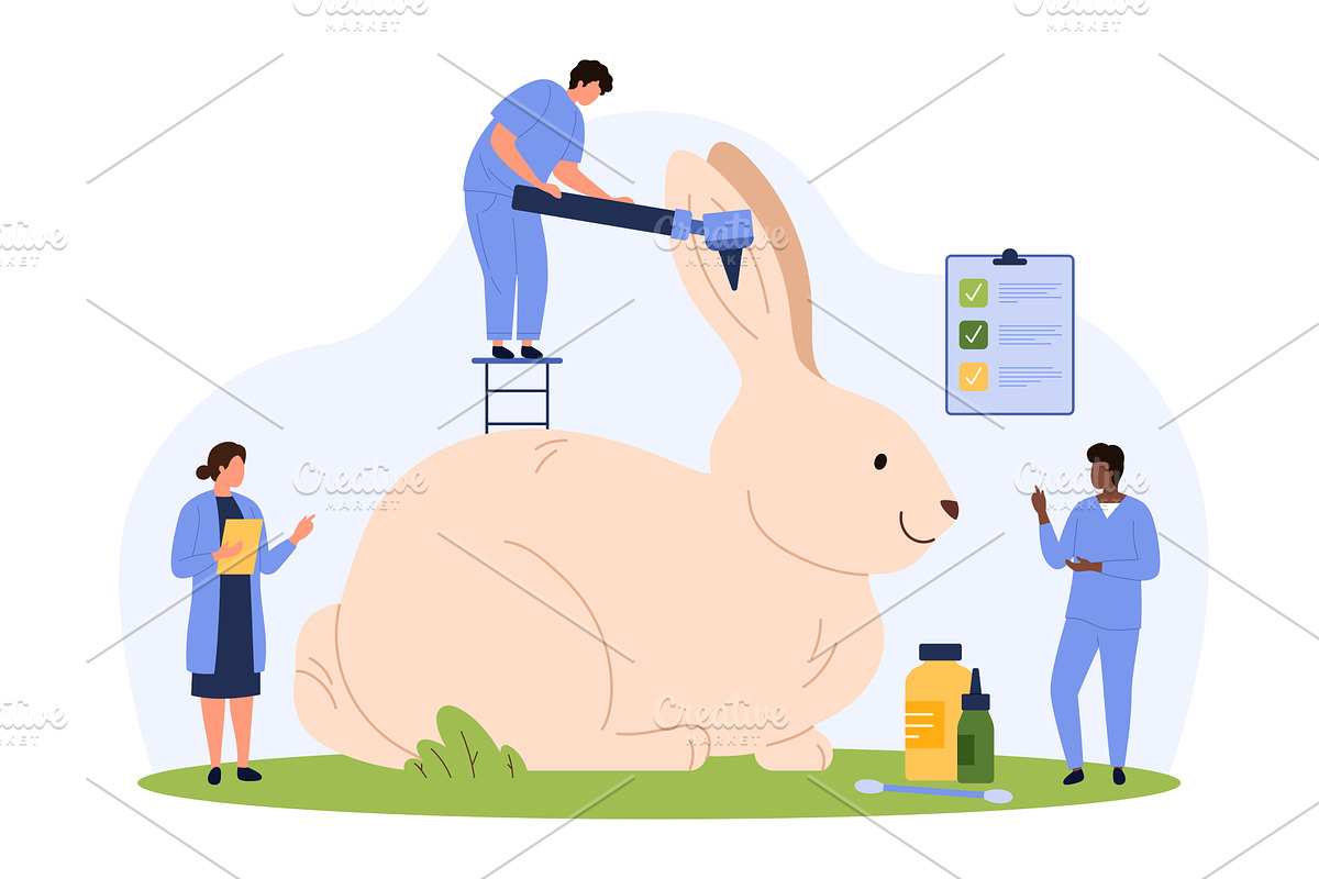 Rabbit at veterinarians appointment, a Healthcare Illustration by Flashvector