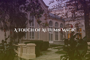Velvet Irises. Luxury Floral Pattern, a Pattern Graphic by PaperJamLab (Thumbnail 2 of 11)