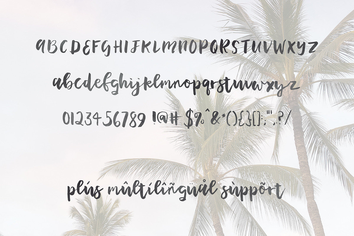 Plumeria Script, a Script Font by Beck McCormick (Photo 5 of 5)