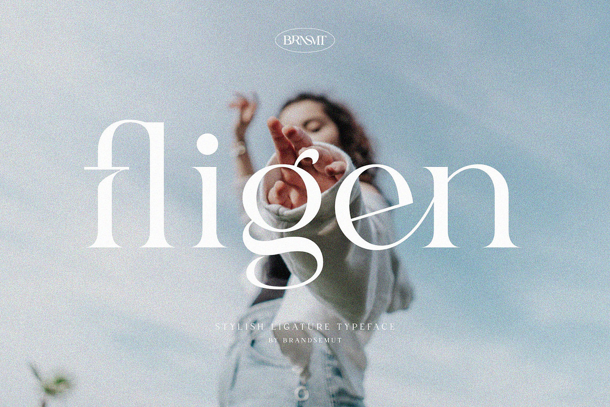 Fligen - Stylish Serif, a Serif Font by BrandSemut (Photo 1 of 10)