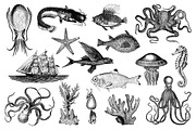 Nautical Vintage Illustrations, an Animal Illustration by hypegraphic (Thumbnail 4 of 6)