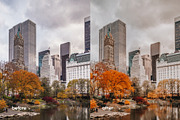 6 FALL LIGHTROOM PRESETS, a Preset Add-On by Hot Buns Presets (Thumbnail 9 of 11)