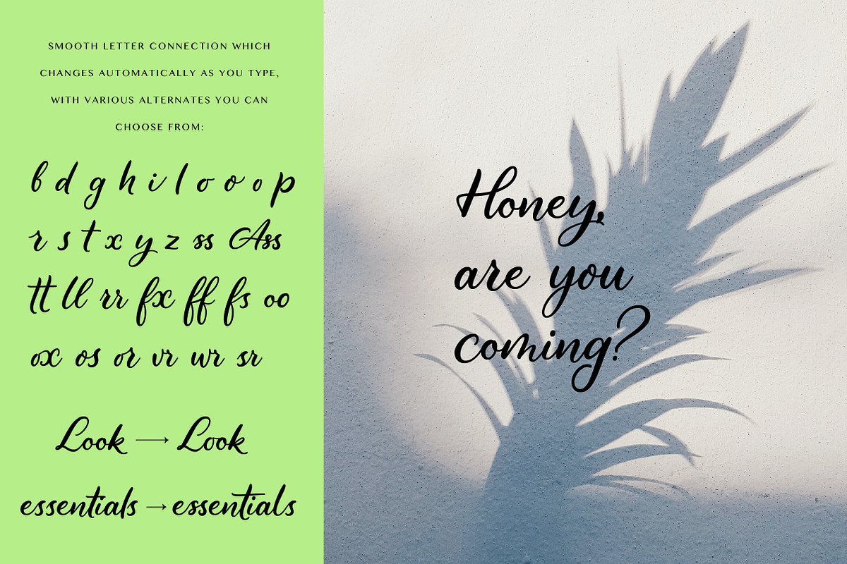 Lorca - Handwritten typeface, a Script Font by Type Tale (Photo 8 of 10)