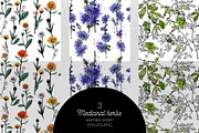Watercolor medicinal herbs, an Illustration by Tatiana Davidova (Thumbnail 4 of 5)