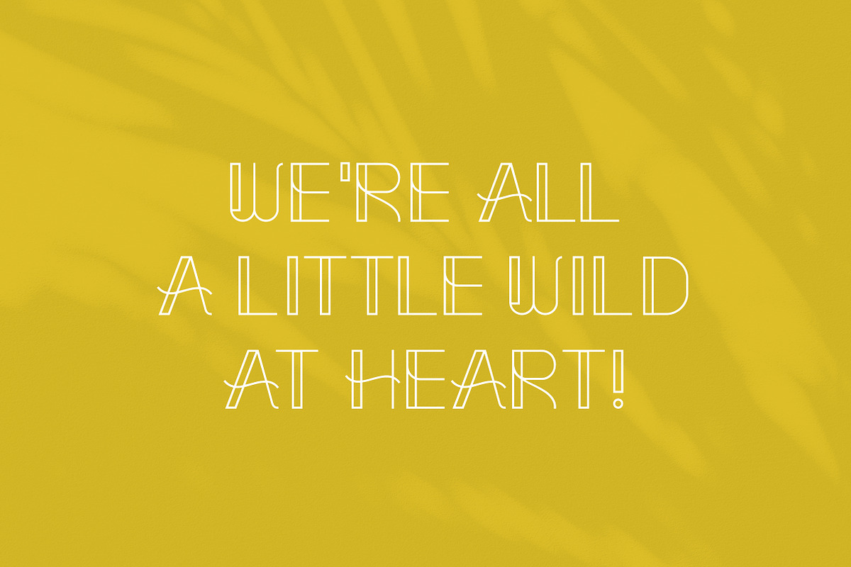 Elegantor | Vintage Display Font preview 4