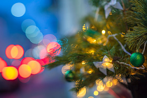 Christmas tree on a city street, a Photo by Pictures for you!!!!!!!!!