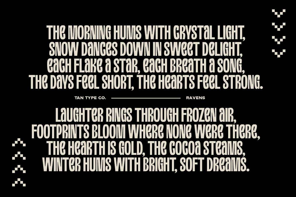 TAN - RAVENS, a Serif Font by TanType (Photo 10 of 11)
