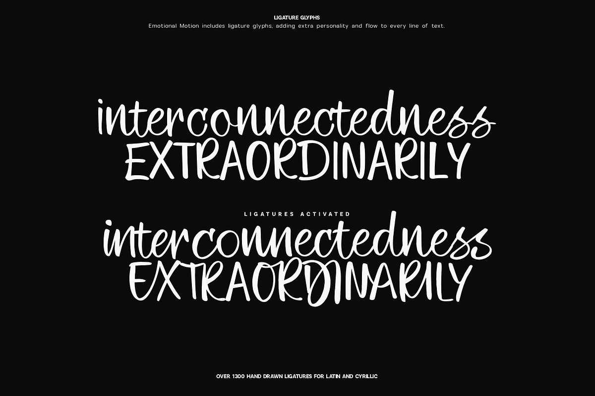 Emotional Motion - Handwritten Font, a Script Font by VP Fonts (Photo 23 of 24)
