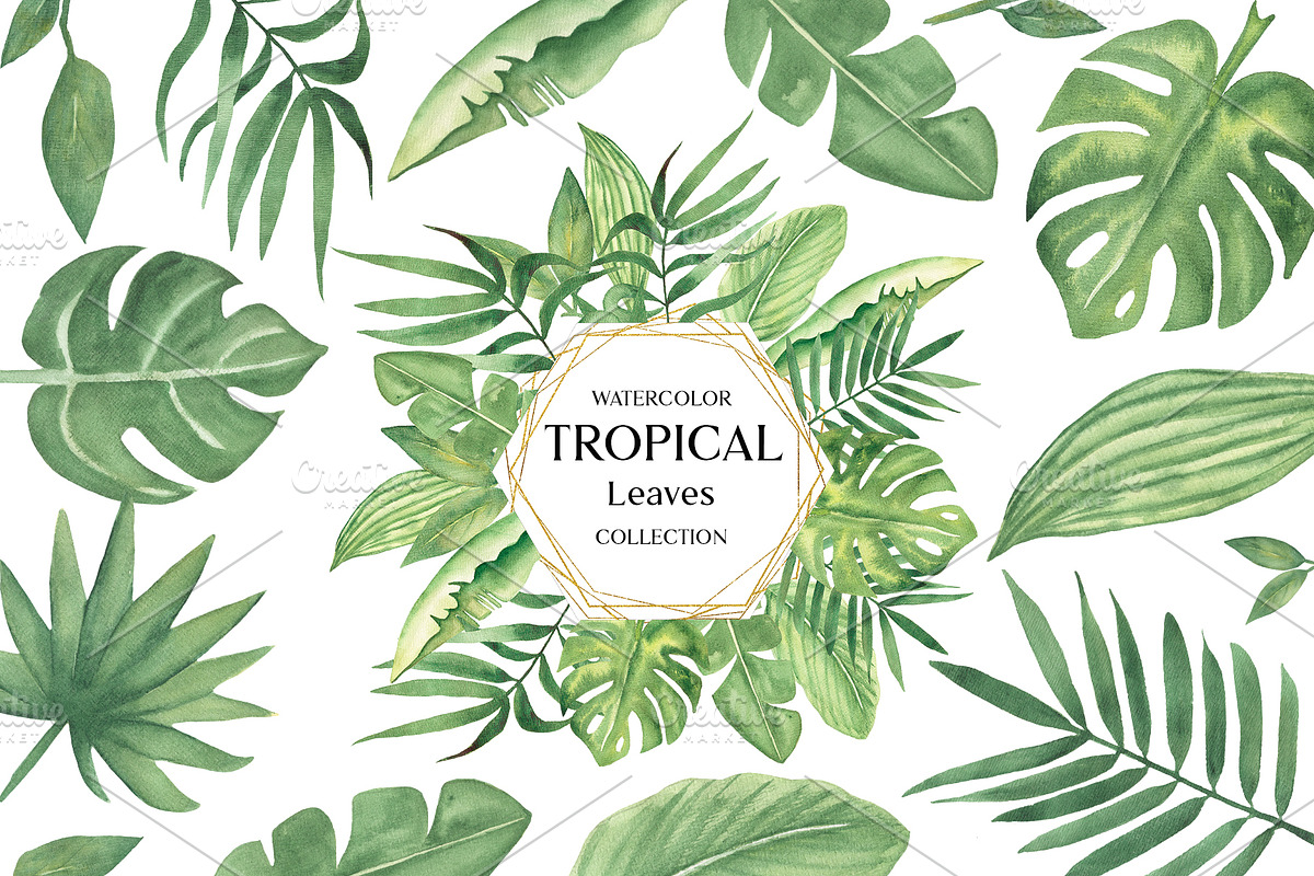 Watercolor Tropical Leaves, a Decorative Illustration by MayaNavits (Photo 1 of 12)