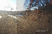 Fall Tones Photoshop Actions preview 3