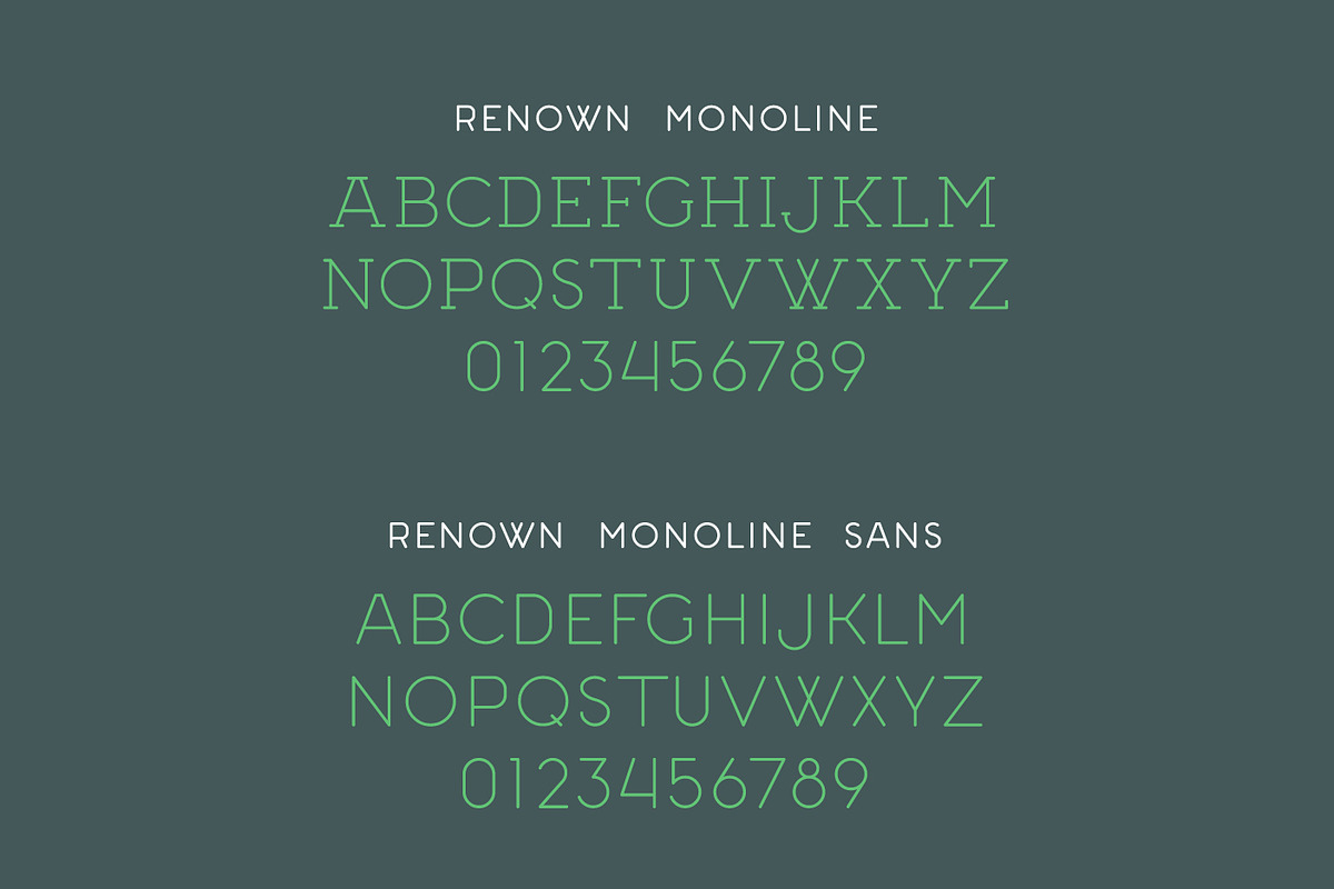 Renown Monoline Font Duo preview 4