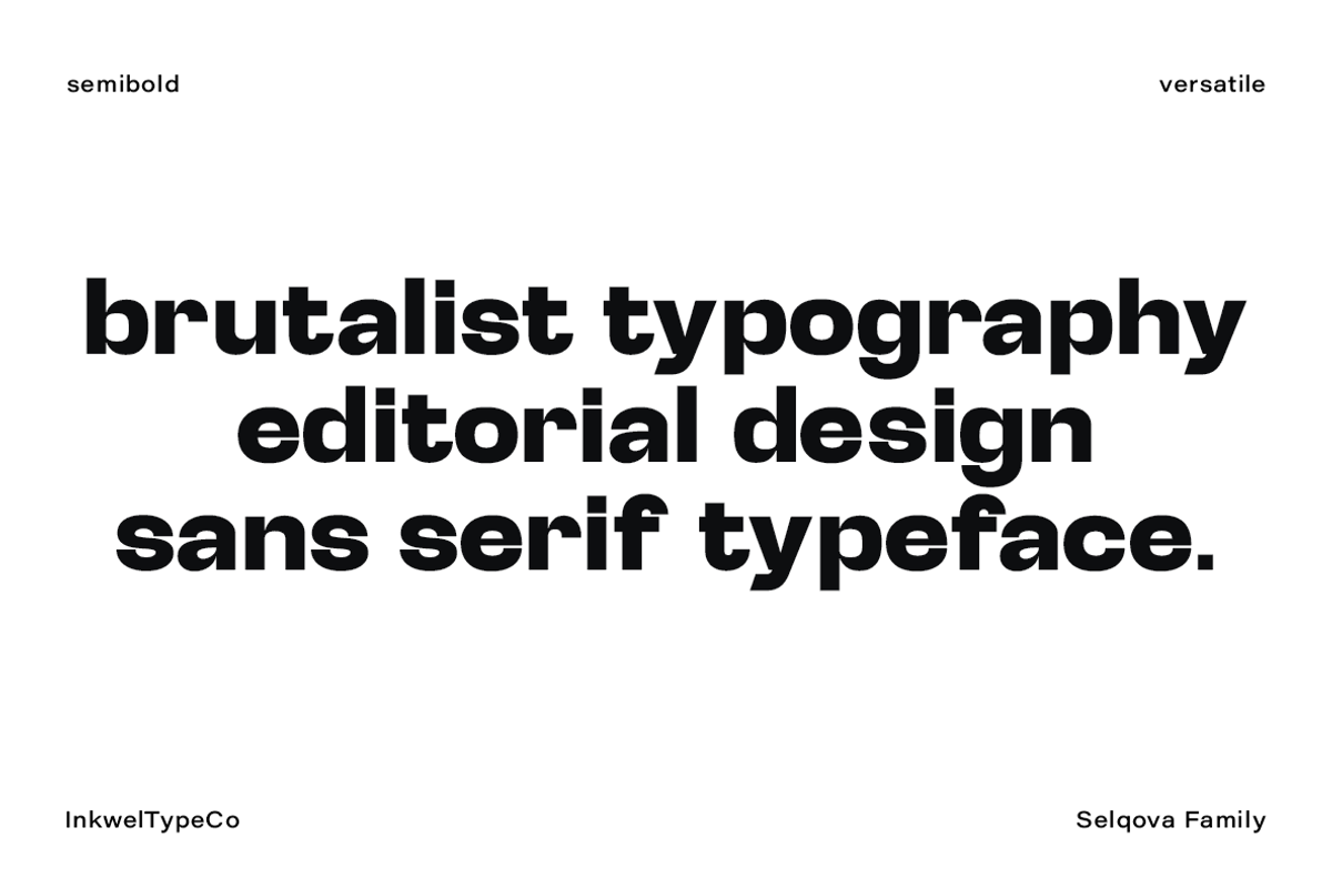 Selqova | Sans serif family, a Sans Serif Font by InkwellTypeCo (Photo 4 of 18)