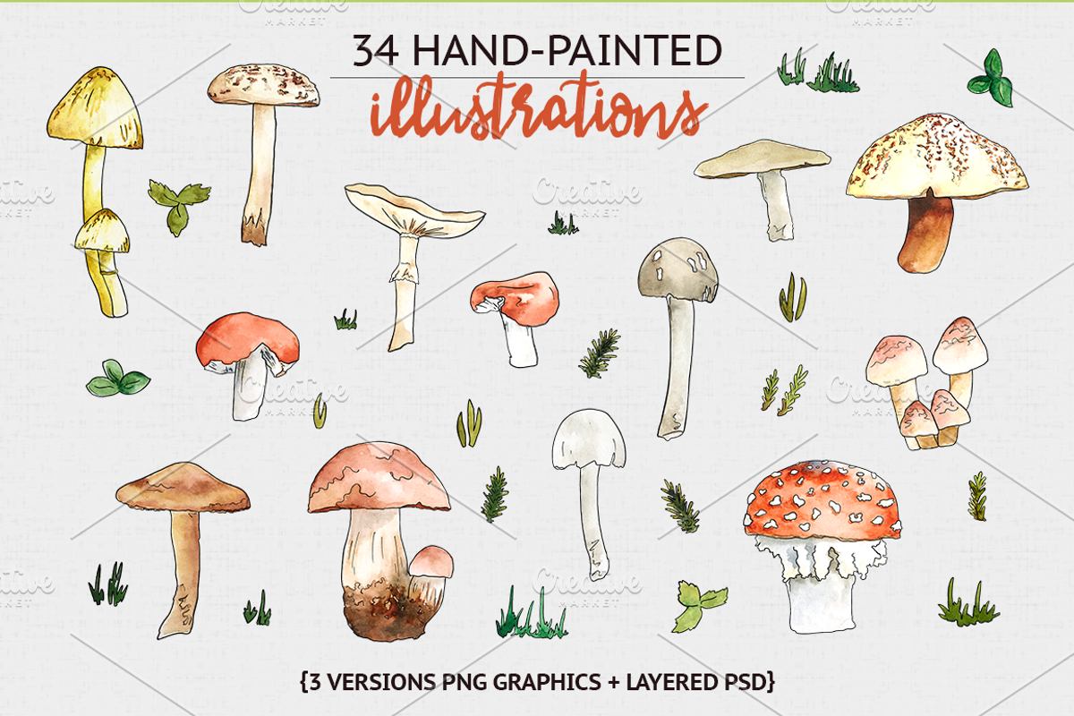 Woodland Mushroom Watercolors, an Illustration by plaidGecko (Photo 2 of 8)