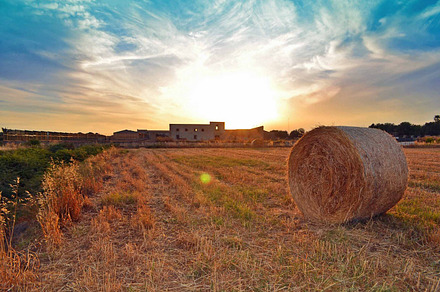 Bale Of Straw Stock Photo Containing Straw And Bale Of Straw preview 4