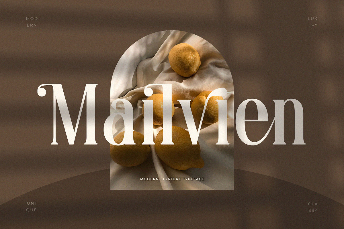 Mailvien - Modern Ligature Typeface, a Serif Font by BrandSemut (Photo 1 of 10)