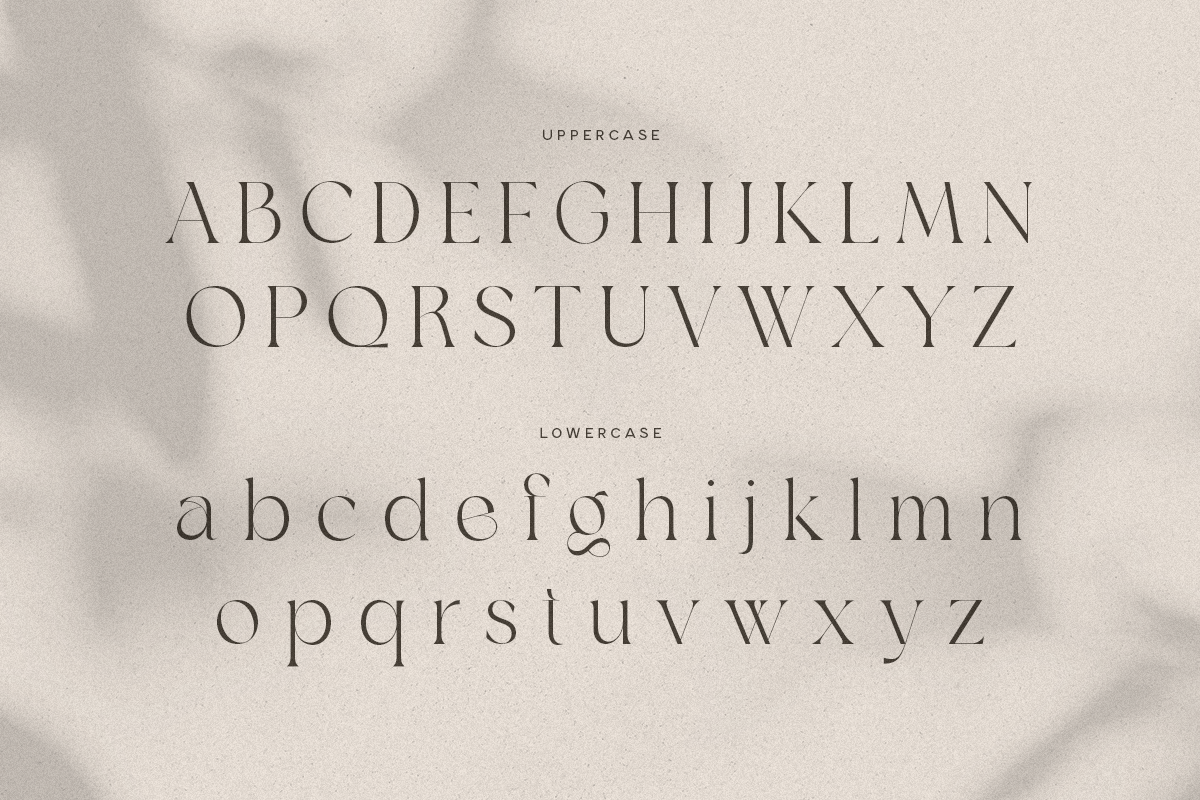 Agare - Branding Luxury Font, a Serif Font by Sensatype (Photo 10 of 12)