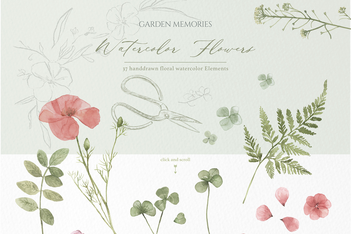 pressed floral watercolor collection, an Illustration by beehouse studio (Photo 2 of 9)